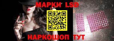 стафф Будённовск