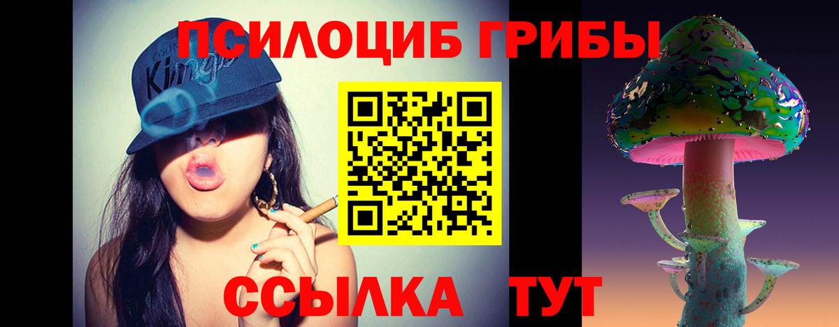 Галлюциногенные грибы MAGIC MUSHROOMS Балтийск